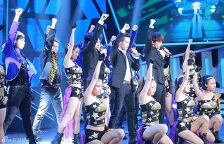 金鹰娱乐,璀璨星光下的娱乐王国