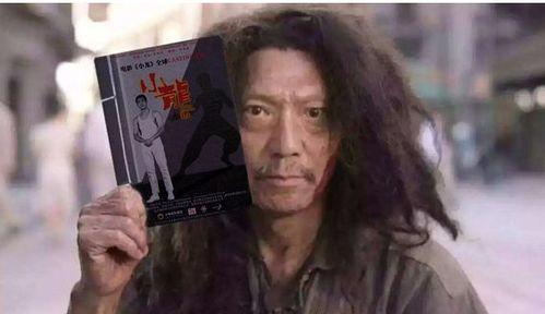 元华的资料,从影视巨星到慈善使者，传奇人生的多面风采