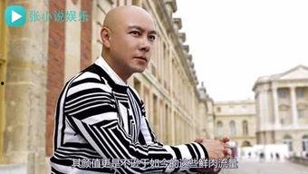 娱乐小说 张卫健,娱乐江湖的笑匠传奇