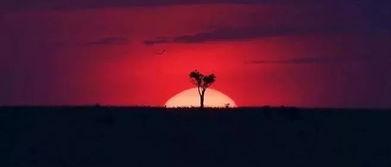 搞笑的谢幕方式,笑翻全场！盘点那些搞笑至极的谢幕瞬间