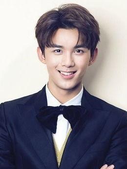 吴磊资料,青春偶像的璀璨星途与不懈奋斗